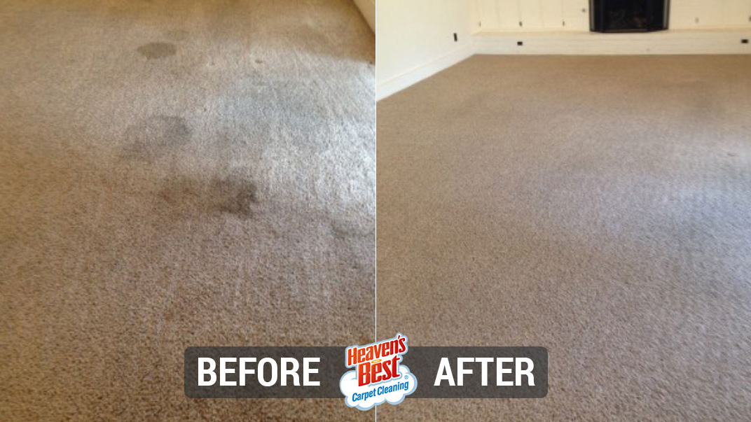 Heaven's Best Carpet Cleaning Marshall